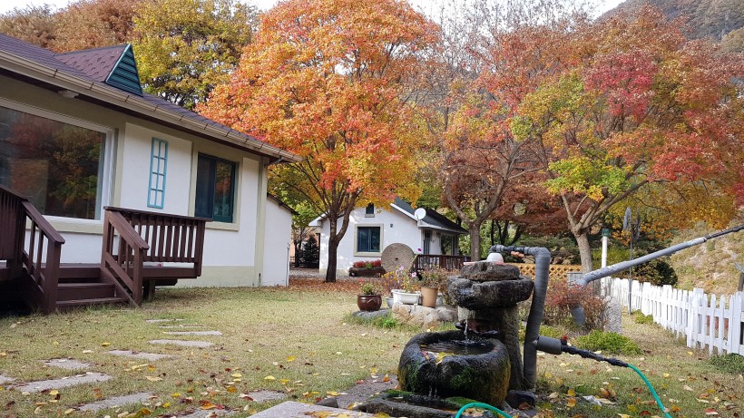 fb6197a02cf0ad9276c92f1d6fa091ad_1572495