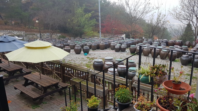 fb6197a02cf0ad9276c92f1d6fa091ad_1572495